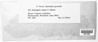 Image Associated With the Occurence